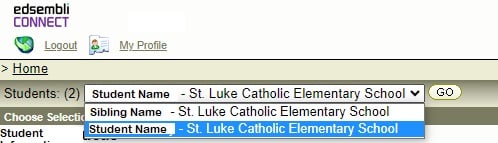 Screenshot of registration fields